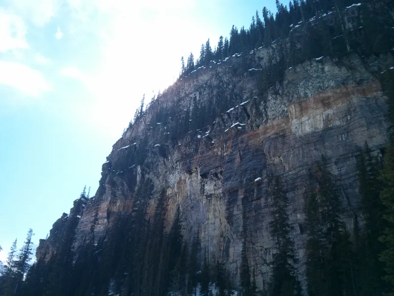 A real photograph of a mountain cliff with layered rock, evergreen trees and pale blue sky.